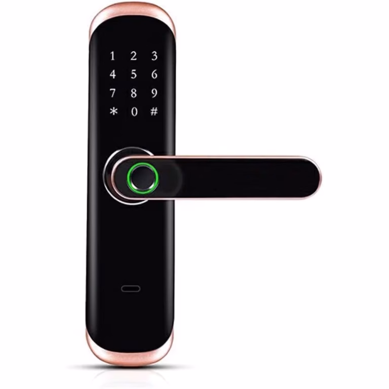 Smart Fingerprint Door Lock – Keyless Entry Handle